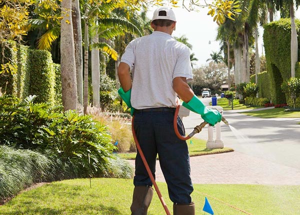 About Sigel PA Pest Control